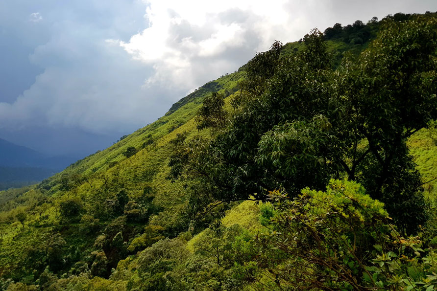 road trip from bangalore to chikmagalur